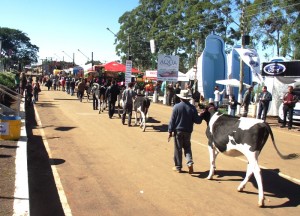 Feira mobiliza o setor do agronegócio na região