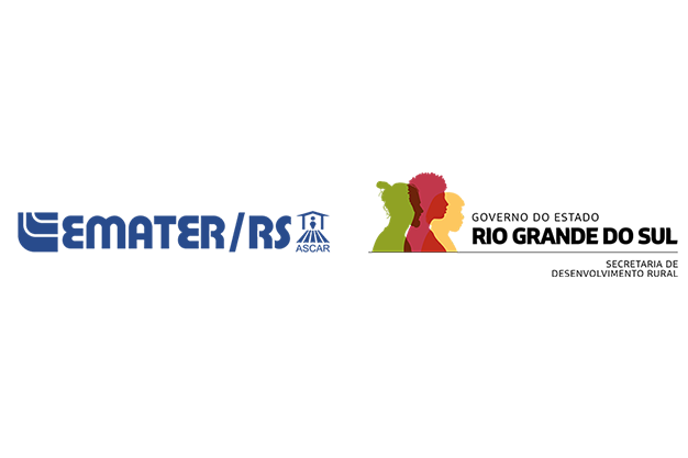 Anunciante 10
