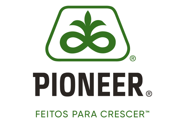 Anunciante 4